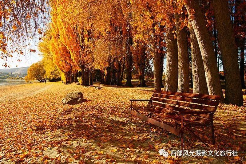 探索八达岭长城一日游攻略，自己玩合适还是跟团合适？的知识星球平台，汇聚深入见解！