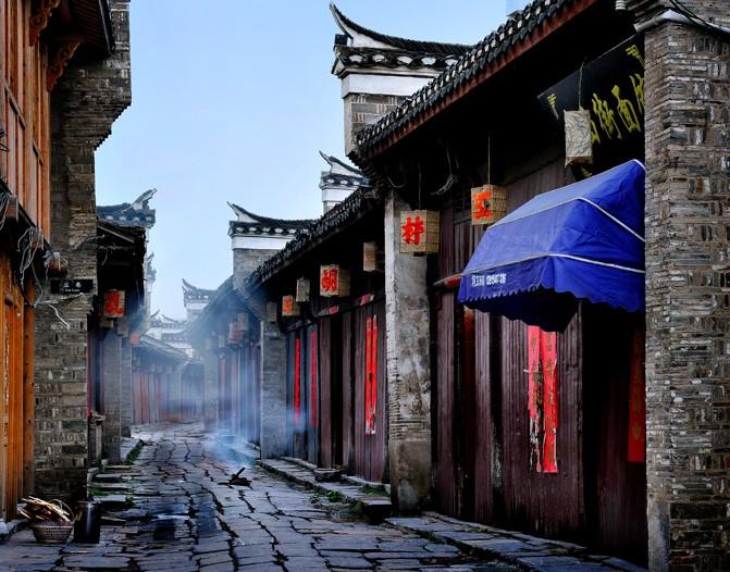 动物帮帮忙保卫家园